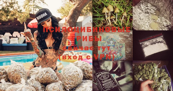 дурь Алексеевка