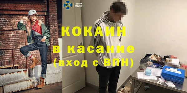твердый Алзамай